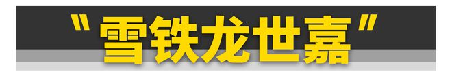 穷玩车、富玩外？不如玩这11款汽车仪外！(图33)